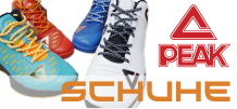 FiveNine PEAK Modul 1