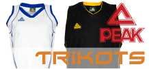 FiveNine PEAK Modul 2